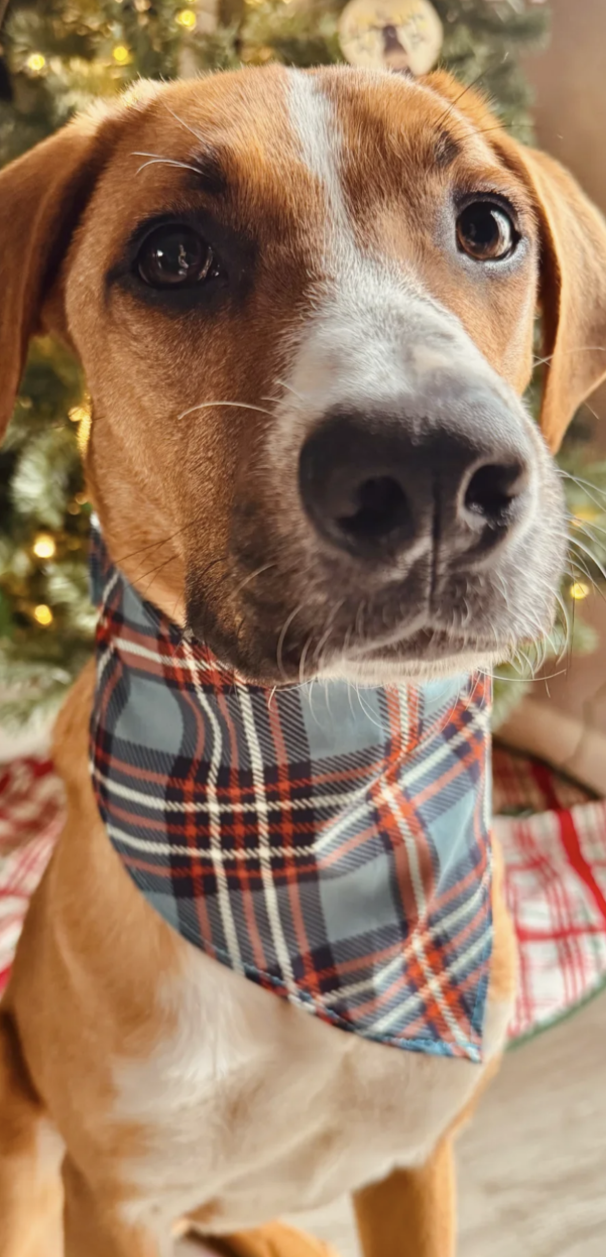 Cliick screenshot: YOUR WORLD